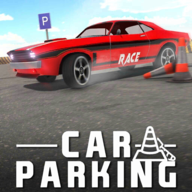 Real Car Parker游戏